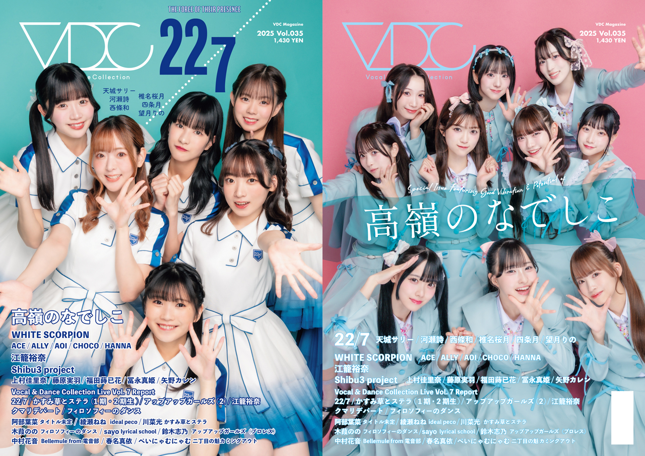 VDC vdc_magazine 035